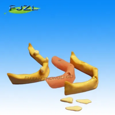 Dental Tooth Implant Practice Model Mandible Gingiva Model Teaching Model
