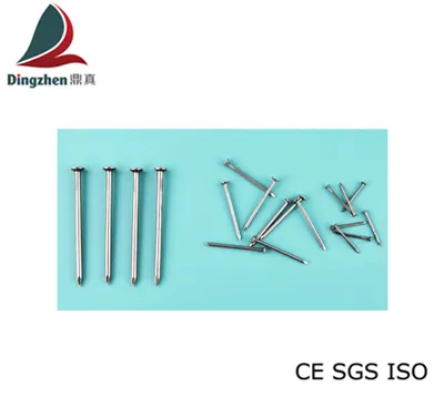 Galvanized Common Round Nail for Wooden Products