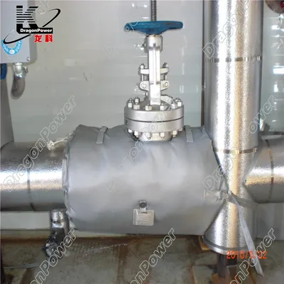 Gate Valve Cover Customized