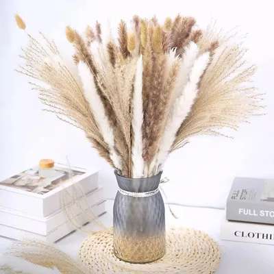 Customized Boho Style Home Decoration Natural Bunny Tail Reeds Pampas Grass Small Dried Flower Bouquet