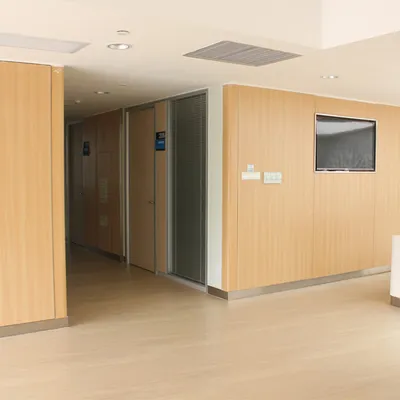 Interior Solid Grade Laminate Wall Cladding Panel