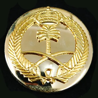 Military Beret Badge Insignia Metal Police Army (CB40301)