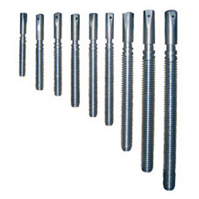 Stem (JFY-Stem-01-001)