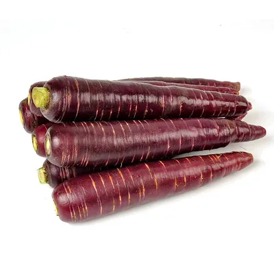 Bulk Packing Chinese Orange Red Purple Fresh Long Carrots for Export Buyers