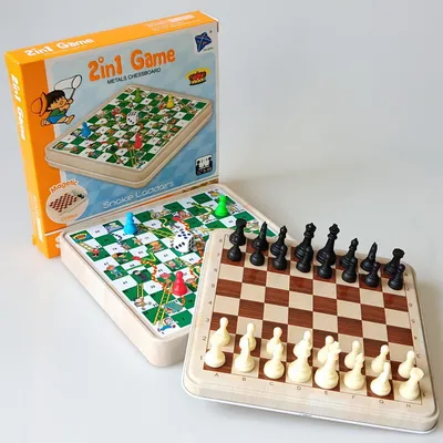 2 in 1 Magnetic Chess and Snakes&Ladders Board Game