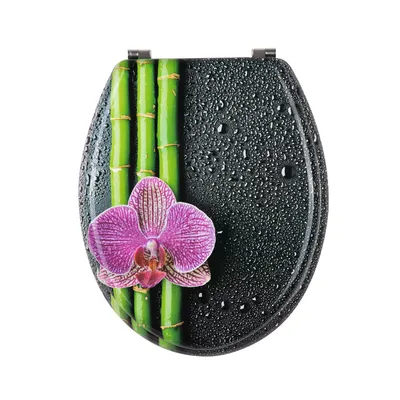 Nice Gloss Fit Widely MDF Printing Toilet Seats and Lid Toilet Seats for Boat Toilet