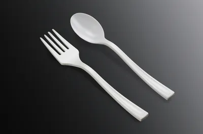 Disposable Cutlery Plastic Cutlery/Cc-02