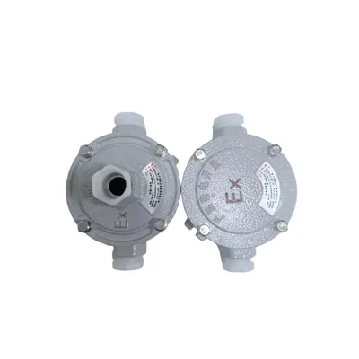 Explosion-Proof Junction Box for Construction Sites Explosion Proof Terminal Box