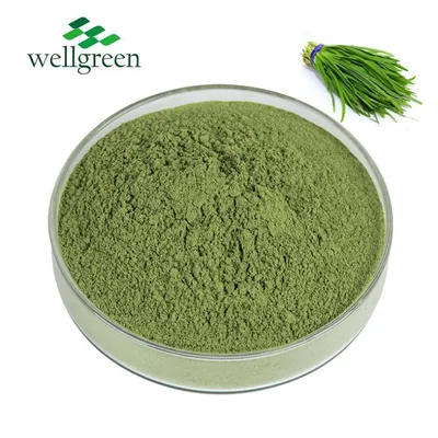 Water Soluble Leek Juice Powder Dehydrated Vegetable Food Grade Bulk
