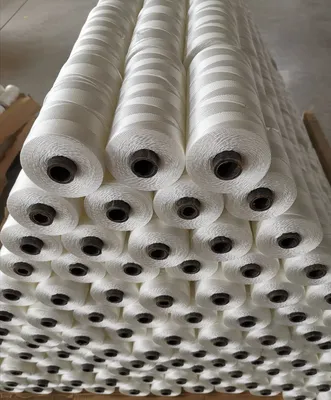 High Tenacity Braided 210d/2-180ply 100% Polyester Fishing Net Twine Twisted Nylon Twine