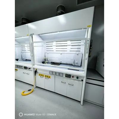 Easy Operation Corrosion Resistant Protective Chemical Lab Fume Hood