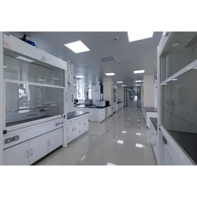 Customized Protective Fume Hood Cupboard with Leakage Protection for Work