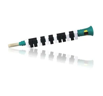 13 Key Mouth Organ