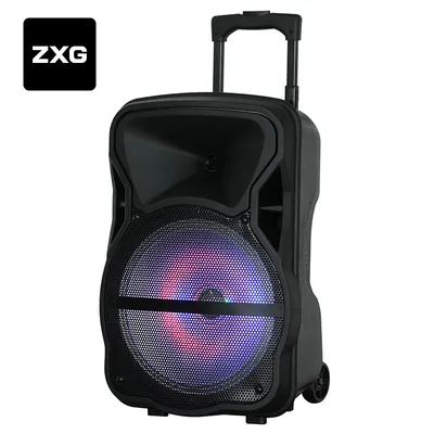 Built in Battery 12inches Outdoor Trolley Wireless Portable Speaker