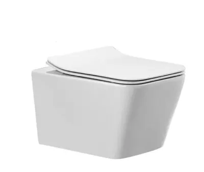 Sanitary Ware Toilet, Wall-Mounted Closestool, Wall-Hung Toilet
