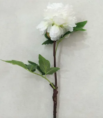 Artificial Single Stem Peony Flower for Decoration Wedding