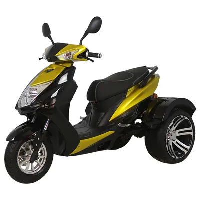 60V800W Electric Mobility Tricycle for Adults