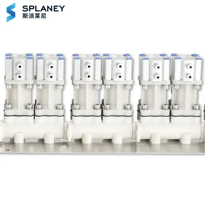 Hot Products Laundry Detergent Dispenser Dual-Cavity Delivery Valve