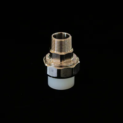 Custom Laser Marked PPR Thread Union with SUS201 Insert Packaging Custom PPR Union