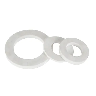 Premium Heavy-Duty PTFE Sealing Gasket for Industrial Applications