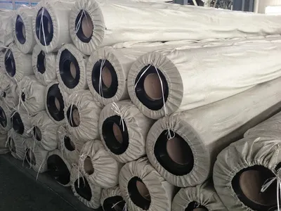 Leading Manufacturer and Installer of HDPE Geomembrane