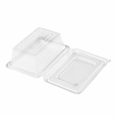 Clear Rectangular Plastic Container with Hinged Lid Kp910