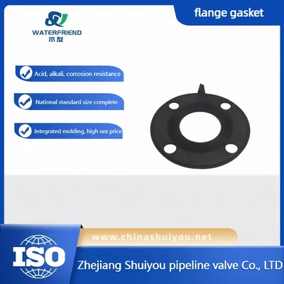 PVC Pipe Flange PVC Flange UPVC Flange Gasket