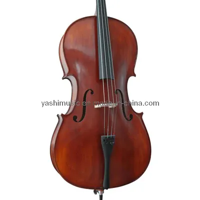Student Cello (YSC005)