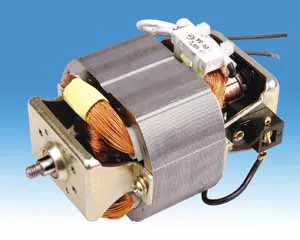 AC Blender Motor (6330)