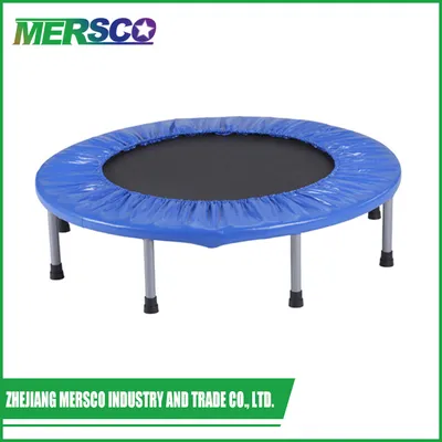 Blue Cover Pad Mini Trampoline with Good Quality Jumping Mat Indoor