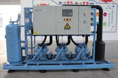 Refrigeration Equipment Condensing Unit with Frascold Compressors for Freezer Room