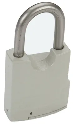 Zonzen Zinc Alloy Smart Lock