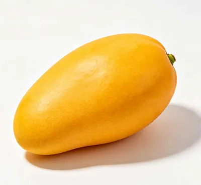 Freshly Picked Tropical Mango, Juicy & Super Sweet