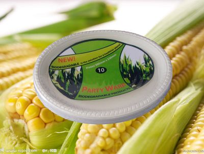 Disposable Corn Starch Oval Plate (THP-33)