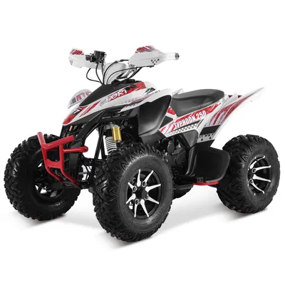Tao Motor 2024 Latest Design 250cc Quad Bike Sport ATV