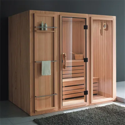 Modern Design Sauna Dry Steam Shower Room