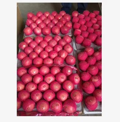 100# 113#125#135# 5 Layer Blush Red FUJI Apple