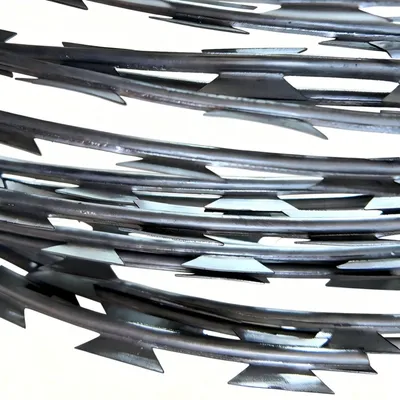 Durable Strong Concertina Razor Ribbon Barbed Wire for Security Fence System