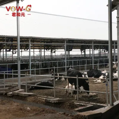 Vow-G Prefab Steel Cattle Sheep Shed Livestock Farm Barn