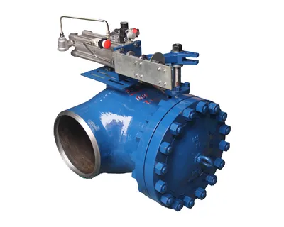 Lock Type Swing Check Valve 300ckh664h-12c