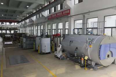 Container Type Gas/Oil Fired Steam Boiler (WNS2-1.0-Y. Q)