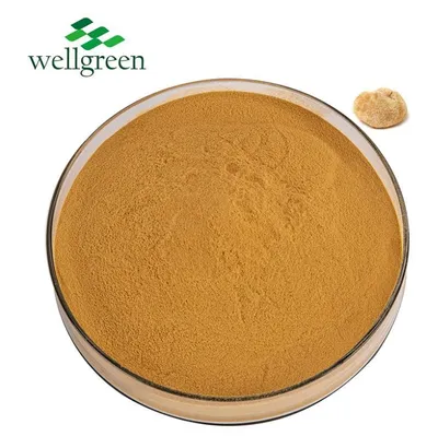 Wellgreen Top Quality Organic Natural Powder Lions Mane Mushroom Extract