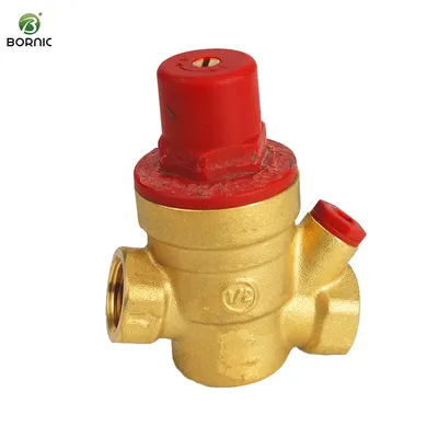 Bornic High Temperature Adjustable Pressure Brass Water Pressure Reducing Regulator Valve for Water