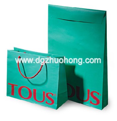 Paper Bag (ZHUOHOU-PB0026)