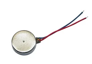 10b Flat Permanent Magnet DC