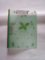 Notebook (n-11)