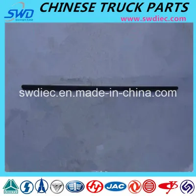 Hx (6-SIDED) Key for Fast Gearbox Truck Spare Part (16JS200TA-1701121)