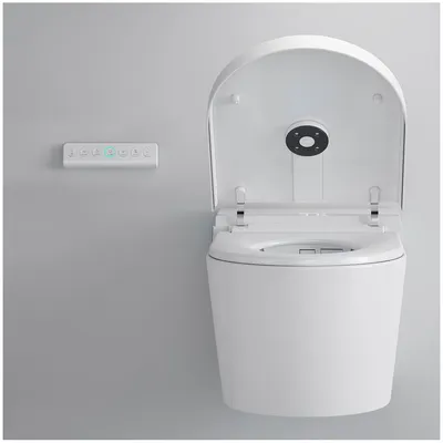 Luxury Concealed Type Ceramic Water Closet with Cistern