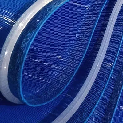 Anti-Deviation Polyester Mesh Conveyor Belt with Silicone Tracking Guide Strip for Food Drying Processing
