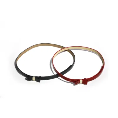 2023 New Style Lady Belt/ Fashion Women PU Belt (JYB-29165)